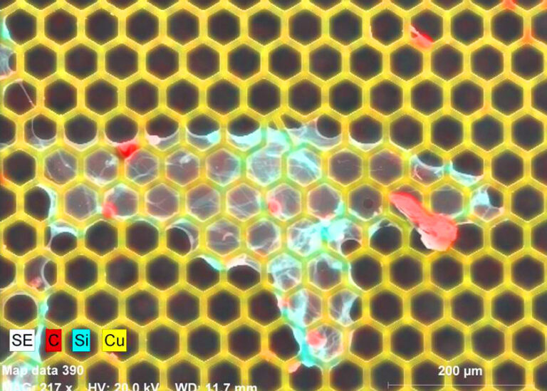 SEM Analysis | SEM-EDS Analysis - PSI