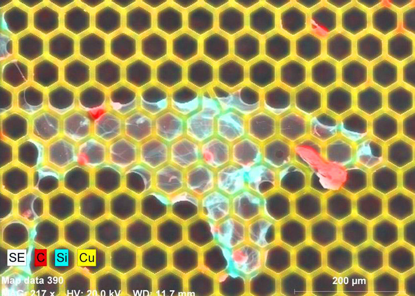 EDS-Mapping-of-silicone-contaminant-on-c