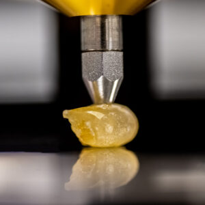 Polymer Structure Analysis - SGS PSI